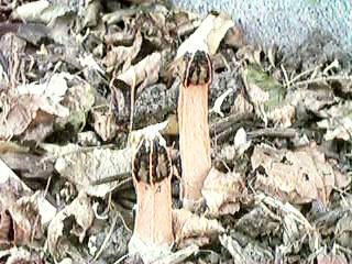 �c�}�~�^�P