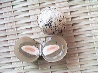 �L�c�l�m�^�C�}�c�̗�