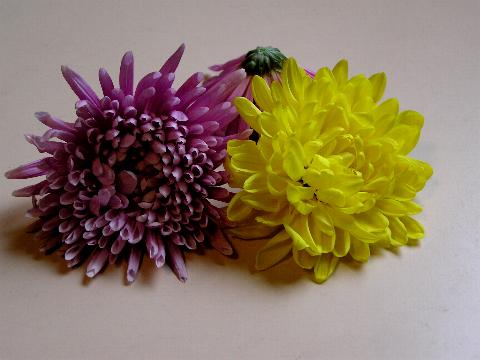 �H�p�e�i�ԁj