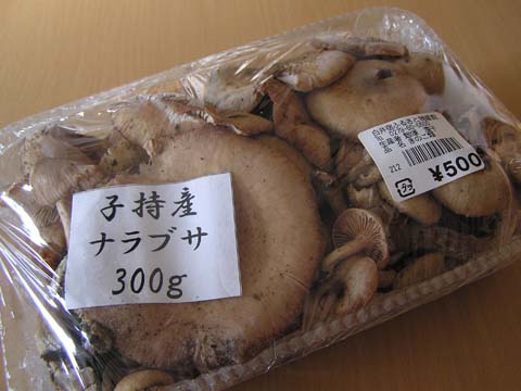 �i���u�T�^�P