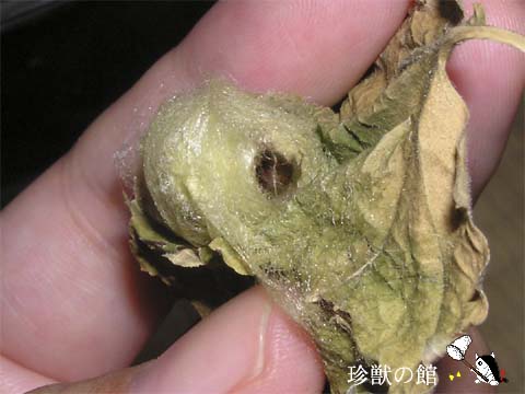 ���̌�����o�Ă��܂���