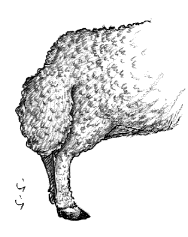 ���b���q�c�W�̔�